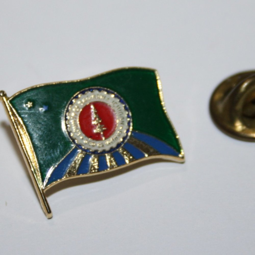 🟢🏞️ Gold + Green County of Saginaw Flag Lapel Pin · 7/8" 🏞️🟢